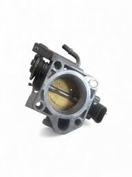 CORPO BORBOLETA FIESTA