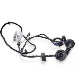 CHICOTE PORTA TRAS DIREITA ECO SPORT 2004 A 2012