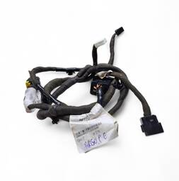 CHICOTE PORTA TRASEIRA ESQUERDA ARGO 2015/