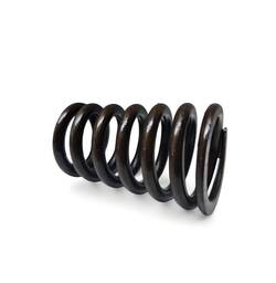 MOLA VALVULA CABEÇOTE BMW 323 328 E46