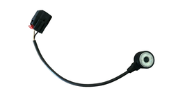 Sensor Detonação Ford Ecosport 1.5 2020/21 Ford Ka 1.5 18/21