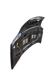 CAPÔ DIANTEIRO SCENIC 2001 A 2011