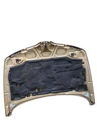 CAPO DIANTEIRO LAGUNA 1995 1996 A 2000