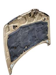 CAPO DIANTEIRO LAGUNA 1995 1996 A 2000