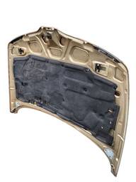 CAPO DIANTEIRO LAGUNA 1995 1996 A 2000