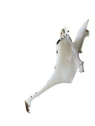 PARALAMA ESQUERDO FIT 2015 A 2021