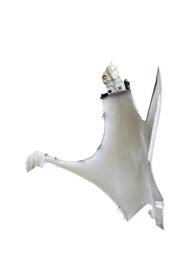 PARALAMA ESQUERDO FIT 2015 A 2021