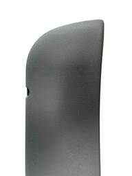 MOLDURA DA PORTA SCENIC 99/06  DIANT.DIREITA