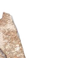 PARACHOQUE TRASEIRO FIT 2015 2016 A 2017