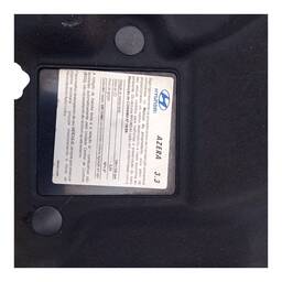 CAPÔ DIANTEIRO HYUNDAI AZERA 2008 2009 2010 A  2011