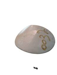 PORTINHOLA TANQUE COMBUSTÍVEL CIVIC G9 2012 2013 A 2016