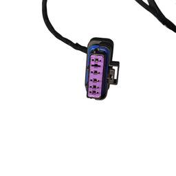 CHICOTE ELÉTRICO T.D BYD DOLPHIN MINI 2024