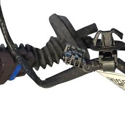 CHICOTE ELÉTRICO T.D BYD DOLPHIN MINI 2024