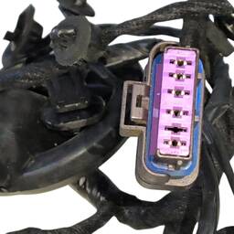 CHICOTE PORTA DIANTEIRA DIREITA BYD DOLPHIN MINI 2024