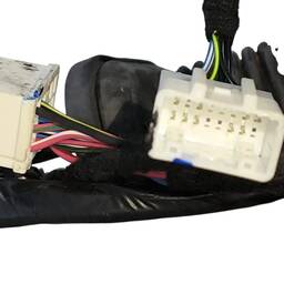 CHICOTE PORTA DIANTEIRA DIREITA BYD DOLPHIN MINI 2024