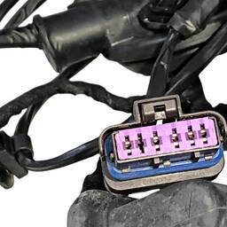 CHICOTE PORTA DIANTEIRA DIREITA BYD DOLPHIN MINI 2024