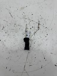 Sensor Fase Vectra 2006/2011