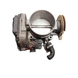 Tbi Corpo Borboleta Audi