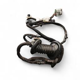 Chicote Porta Traseira Direita C3