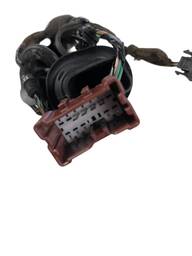 CHICOTE PORTA TRASEIRA ESQUERDA RENAULT SANDERO 2015 A 2020