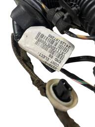 CHICOTE PORTA TRASEIRA ESQUERDA RENAULT SANDERO 2015 A 2020