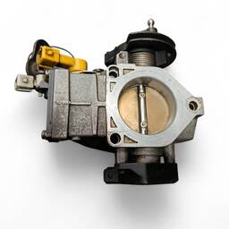 TBI CORPO BORBOLETA XSARA PICASSO