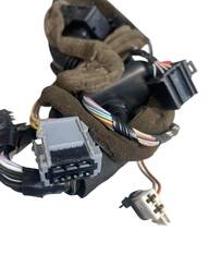 CHICOTE PORTA DIANTEIRA DIREITA MEGANE 2007 À 2012