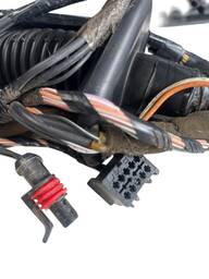 CHICOTE PORTA DIANTEIRA DIREITA MEGANE 2007 À 2012