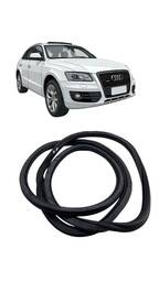 Borracha Porta Dianteira Esquerda (Carroceria) Audi Q5 2012