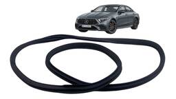 BORRACHA  PORTA TRASEIRA ESQUERDA MERCEDES CLS 53 19