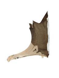 PARALAMA DIREITO CITROEN C3 2003 2004 A 2012