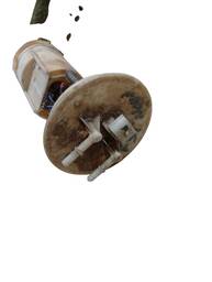 BOMBA COMBUSTÍVEL ECOSPORT 08 A 12 FIESTA 03 A 2014 1.0 1.6