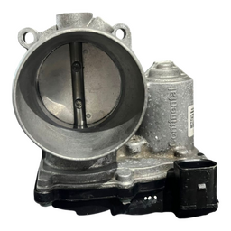 Tbi Corpo de Borboleta voyage 2018/2019