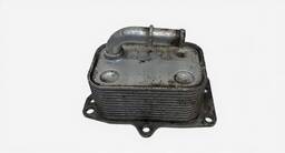 Resfriador Óleo Motor Citröen C4 2.0 2009 À 2012 5989070251