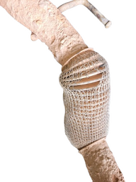 DESCARGA CRONOS 1.8 2019 C/DETALHE