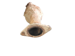 DESCARGA PALIO 1.0 1999/2000