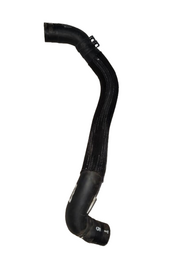 MANGUEIRA ÁGUA KICKS ACTIVE 1.6 2024/..