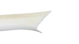 ACABAMENTO COLUNA PARABRISA ESQUERDO GOL BOLA G2