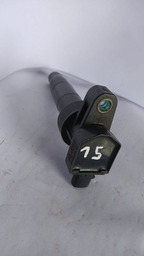 Bobina Ignição Hyundai Santa Fé Sorento Azera 