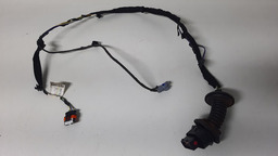 Chicote Porta Traseira Lado Direito Citroen C3 2010 2011