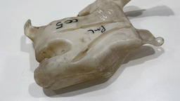 RESERVATÓRIO ÁGUA LIMPADOR PARA-BRISA FORD KA 2014/2019