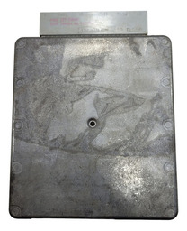 MÓDULO INJEÇÃO FORD KA 2001/2007 1.0 8V XS5F12A650BC BEVI