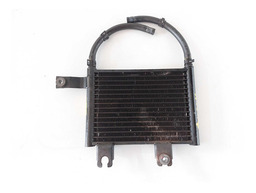 RADIADOR DE OLEO TUCSON 2.0 AUT 2005 A 2015 254603F200