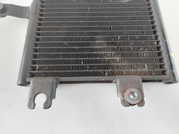 RADIADOR DE OLEO TUCSON 2.0 AUT 2005 A 2015 254603F200