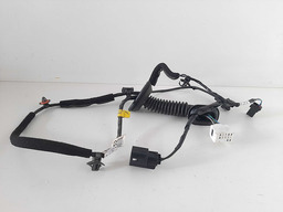 CHICOTE PORTA TRASEIRA ESQUERDA HB20 2013 A 2018