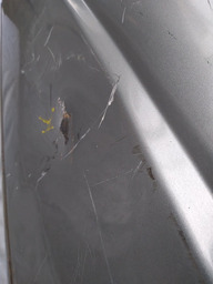 PORTA ESQUERDA LOGUS DETALHES 