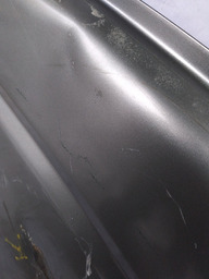 PORTA ESQUERDA LOGUS DETALHES 