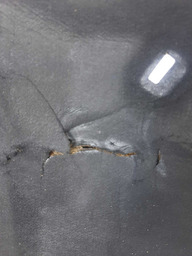 FORRO CAPO FUSION TITA. 2.0 TURBO 4X4 ECOBOOST 2017 DETALHE