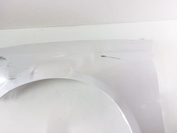 PARALAMA ESQUERDO FUSION 2013 2014 A 2019 AVARIA