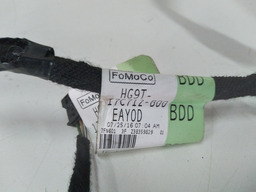 CHICOTE FORRO DE TETO FORD FUSION TITANIUN 2.0 2016/2017 